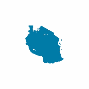 Tanzanya Vizesi
